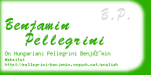 benjamin pellegrini business card